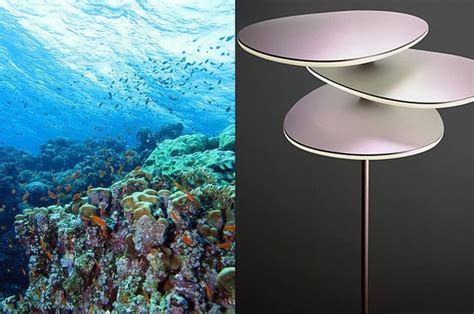 Biomimicry in Action: 13 Technologies Inspired by Nature | Nature inspiration, Biomimicry ...