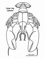Lobster Coloring Page For Kids sketch template