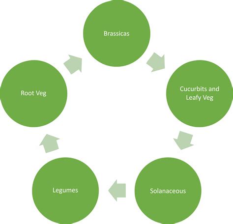 [DIAGRAM] Torque Rotation Diagram - MYDIAGRAM.ONLINE