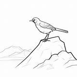Mountain Perched Bird Coloring Pages Clean Line Art With Thin Black  sketch template