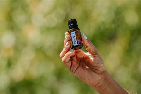 Peppermint oil aromatherapy may ease pain after heart surgery