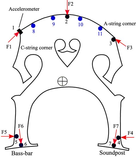 Figure 1 from Motion of the cello bridge. | Semantic Scholar