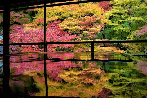 10 Best Autumn Leaves Spots in Kyoto 2018 – Japan Travel Guide -JW Web ...