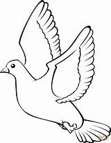Flying Dove coloring Page  Free Printable Coloring Pages sketch template