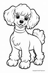🖍️ Cute French Poodle  Printable Coloring Page For Free Puplacom sketch template