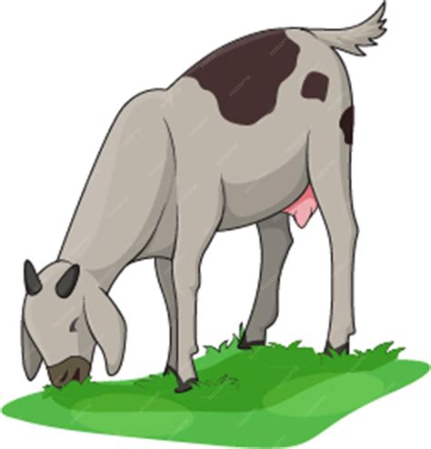 Premium Vector | Goat eating grass vector illustration