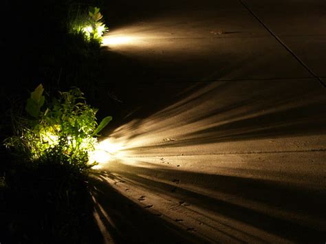 Path Lights in the Grass | Tim Ellis | Flickr