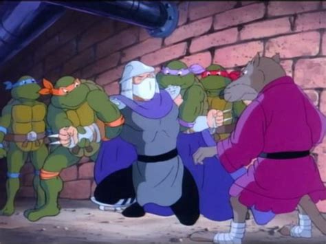 Teenage Mutant Ninja Turtles (1987)