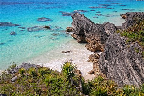 Bermuda Coral Reef Sea and Outcrops Photograph by Charline Xia - Fine Art America