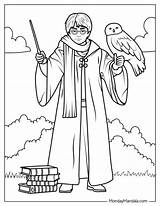 Coloring Pages Of Hedwig From Harry Potter sketch template