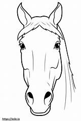 Horse Face Coloring Drawing Pages Horses Head Drawings Color Simple  sketch template