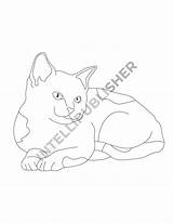 Purrfectly Coloring Pack SP sketch template