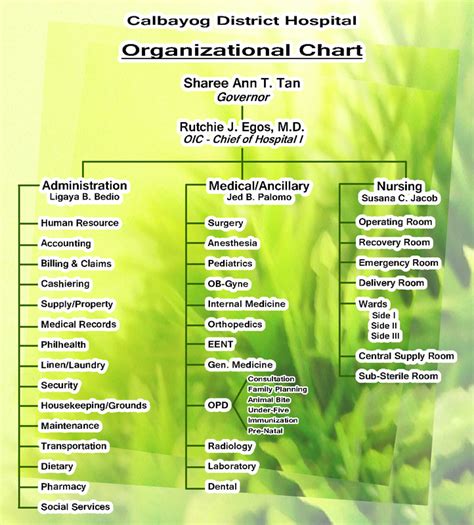 Organizational Chart - Calbayog District Hospital