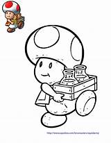 Super Mario Toad Coloring Pages At GetColoringscom  Free Printable sketch template