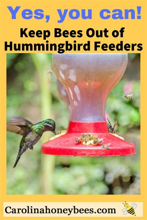 How To Get Rid Of Honey Bees On Hummingbird Feeders - HONEY GYR