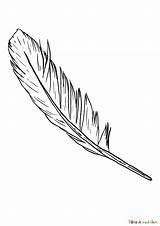Coloriage Plumes Plume Pauline Feathers Coloriages Pages Jolie  sketch template