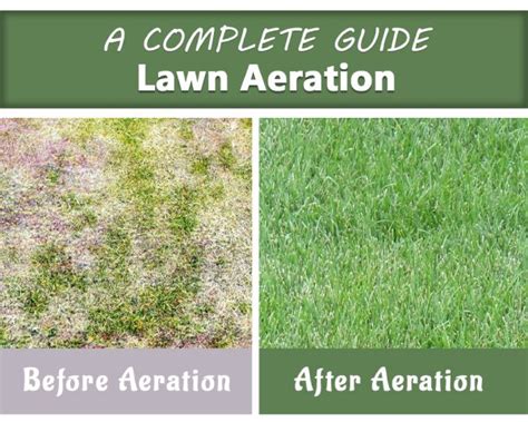 Aerating Your Lawn - A Complete Guide for Your Home Garden!