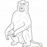 Baboon Coloring Pages For Kids Printable Free Download  sketch template