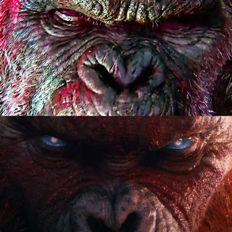 Kong Vs Scar king | Godzilla vs. Kong | Know Your Meme