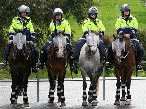 File:Australian Mounted Police Victoria-edit1.jpg - Wikipedia