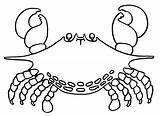 Free Printable Crab Coloring Pages For Kids sketch template