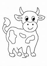 Coloring Pages  Baby Cow Printable sketch template