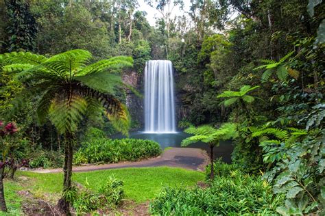 15 Amazing Waterfalls in Australia - The Crazy Tourist | Waterfall, Waterfall wall, Great ...