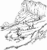 Two Mountain Goats coloring Page  SuperColoringcom sketch template