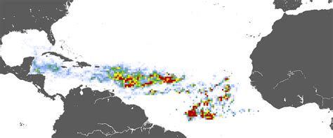 Massive seaweed blob is headed to Florida — rotten stench included