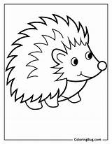 40 Hedgehog Coloring Pages Free Printable PDFs sketch template