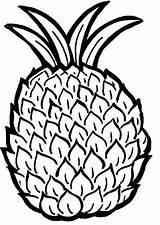 Pineapple Coloring Coloring Pages sketch template