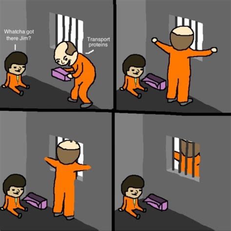 dongs in a jail - Meme by batche :) Memedroid