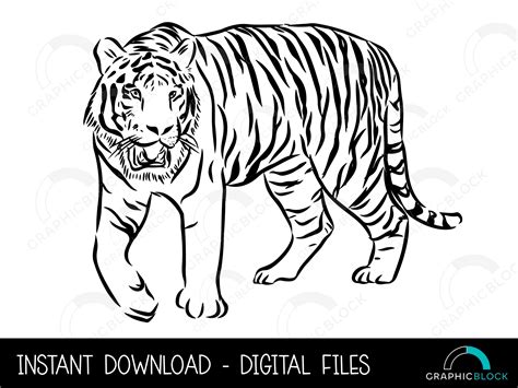 Tiger SVG 2, Tiger Stencil PNG, Wild Cat Vector, Cricut Cut File ...