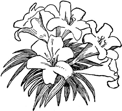 Free Flower Clipart Black And White, Download Free Flower Clipart Black ...