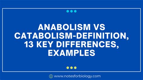 Anabolism vs Catabolism-Definition, 13 Key Differences