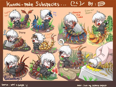 Centipede subspecies (kakuja Kaneki) by shirodebby on DeviantArt