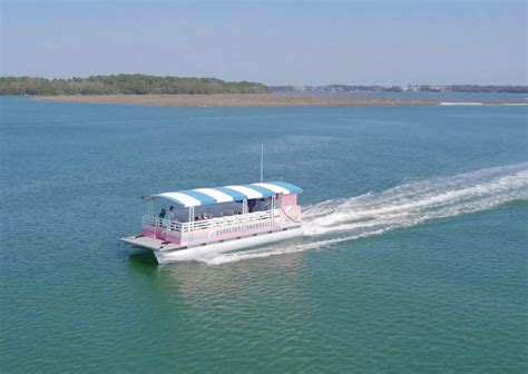 Hilton Head Dolphin Tours - Dolphin Experience Tour