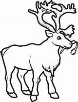 FREE Printable Reindeer Coloring Page For Kids 2 – SupplyMe sketch template