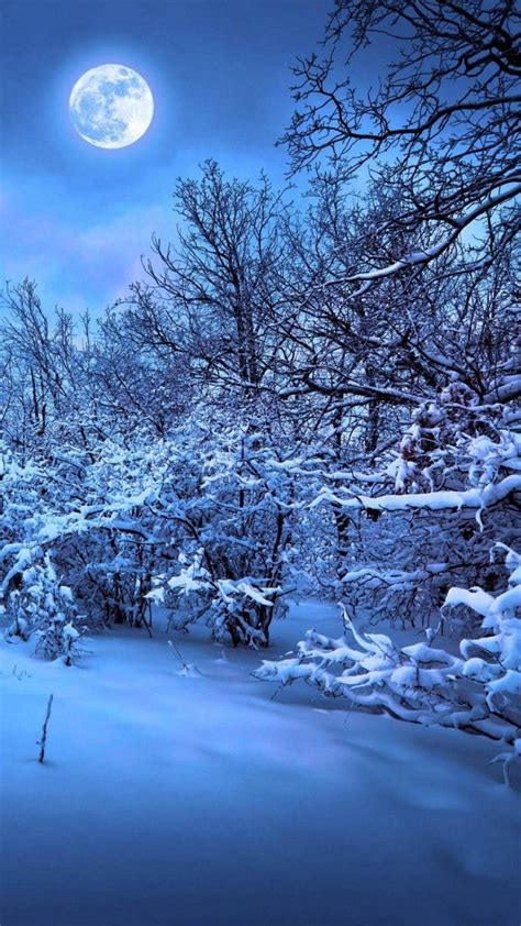 Winter Moon | Winter scenery, Winter landscape, Winter wallpaper hd