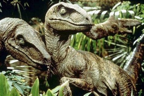 velociraptor jurassic park - Google Search | Jurassic park 1993, Jurassic park movie, Jurassic park