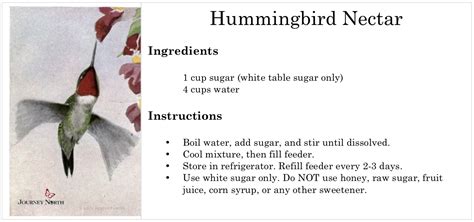 Recipe: Hummingbird Nectar NOTE- Link to info on red dye. | Sugar water for hummingbirds ...