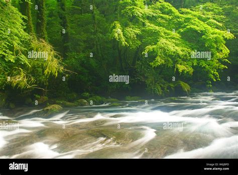 Kikuchi Gorge, Kumamoto Prefecture, Japan Stock Photo - Alamy