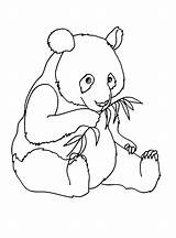 Printable Panda Coloring Pages sketch template