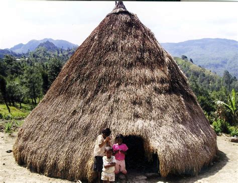 Lopo, Balai Kearifan Suku Timor ~ Dion DB Putra