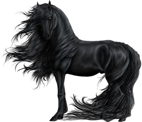 Horse PNG Transparent Images Free Download - Pngfre