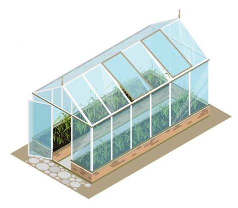 Best Orchid Greenhouse Design To Grow Great Orchids - Rural Living Today