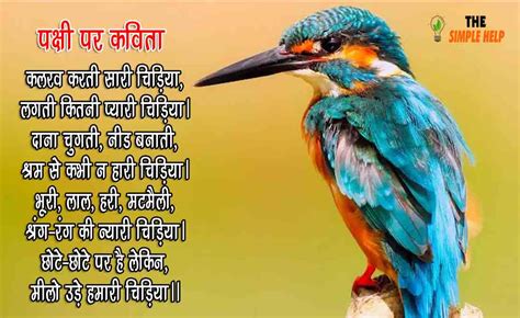 [5+ Best] Hindi Poems on Birds - पंछी पर कविता (2022)