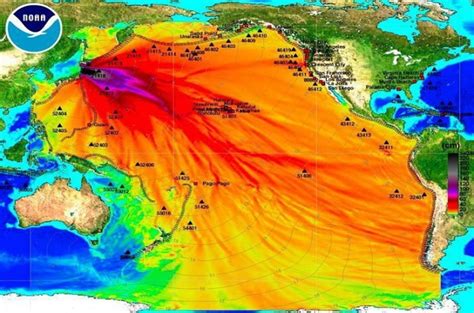 Fukushima radioactivity a complete non-issue on West Coast: Also for ...