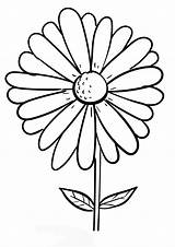 Daisy Clip Flower Coloring Clipart Outline Drawing Cliparts Pages Line  sketch template