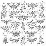 Free Printable Insects Coloring Pages For Kids sketch template